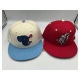 2 SnapBack hats