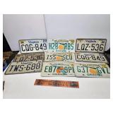 License plates