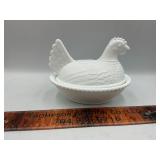 White hen on the nest