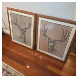 2 Signed & Numbered Deer Prints