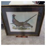 Framed Pheasant Print