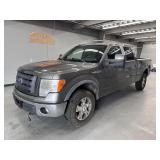 2010 Ford F-150