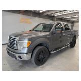 2010 Ford F-150
