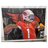 Cardinal Football Picture