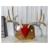 Deer Rack Mount