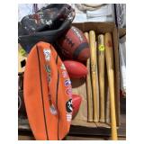 Basketballs, Footballs & Mini Bats
