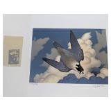 The Peregrine Falcon by Richard Sloan