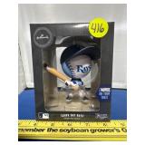 Hallmark Bobble Head Rays