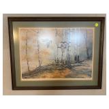 Wood Duck Print 572/580 25x33