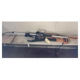 Worx Electric Tree Trimmer w/Extension Handle