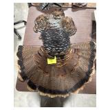 Turkey Mount