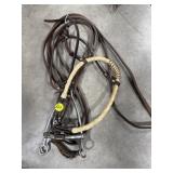 Bit, Reins, Tie Downs