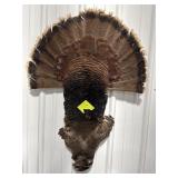 Turkey Mount