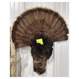 Turkey Mount