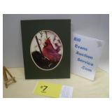 Cardinal in Matted Frame and Signed by Gillie