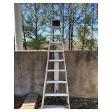 Aluminum Extension Ladder by Louisville Ladder
