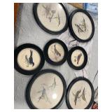 Six Framed Bird Botanical Prints