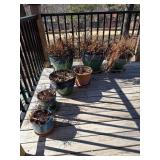 Ceramic and Terracotta Planters