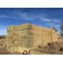 36 Big Square Bales of 4th Cutting Alfalfa Hay
