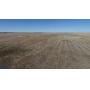 Tract One: 313 Acres Farmland & Grass