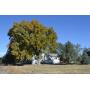 Country Home & Acreage