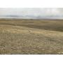 1,027 Acres +/- SOUTH PASTURE