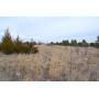 TRACT 1: 148.11 Taxed Acres Dryland Farm Ground