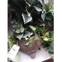 Wall Mount & Basket with Faux Greenery