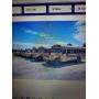Live Auction pictures