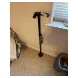 Cane