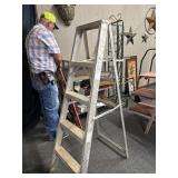 5ï¿½ Aluminum ladder