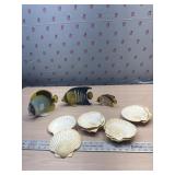 Beach Decor- 3 tropical fish and 8 shells
