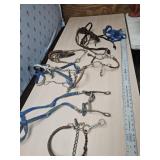 Old bridle and bits