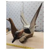 18"ï¿½19"ï¿½18" wood duck display