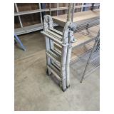 Werner folding ladder