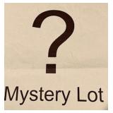 Mystery lot all items that do not recieve a bid