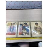 Pecunnies Indian artwork