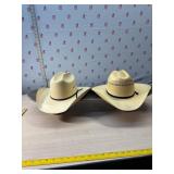 Resistol and Eagle straw hats and skateboard