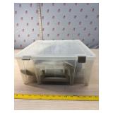 Martin of feathers and more