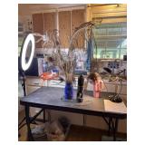 Peacock Feathers and rechargeable ionvac