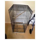 Medium Bird bird Cade yellow base