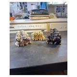 Dalmatians, westies, rottie puppies