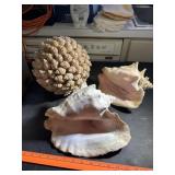 Seashell ball and 2 large sea shells