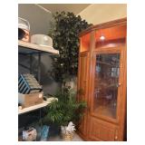 Plant and tree 8ï¿½