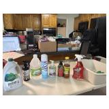 Cleaning supplies, vinegar, and Christmas hand