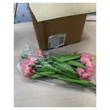 6 new packages of Pink Tulips