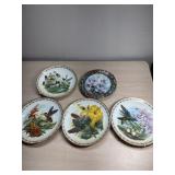 Hummingbird Collector Plates