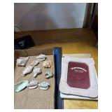 Sea Shells and Terracotta Photo Frame
