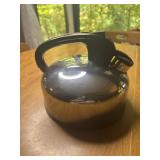 Stainless steel tea kettle