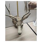 Deer mount 34"ï¿½19"ï¿½24"